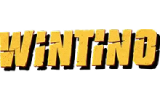 wintino casino logo